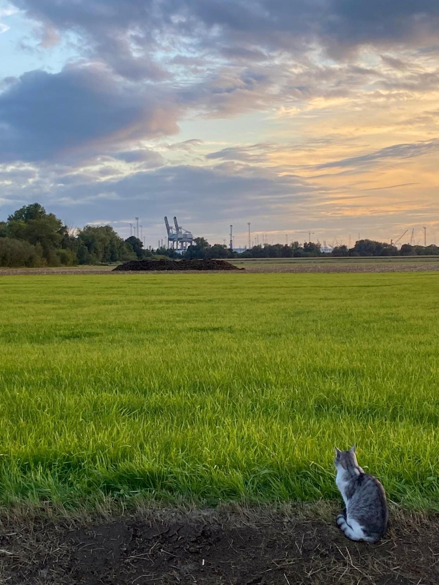 Stabroek Hvn10 - Near Antwerp B&B 외부 사진